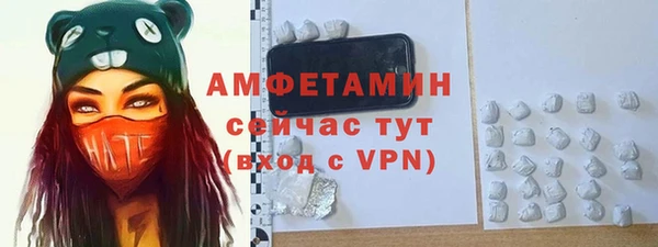 ПСИЛОЦИБИНОВЫЕ ГРИБЫ Арсеньев