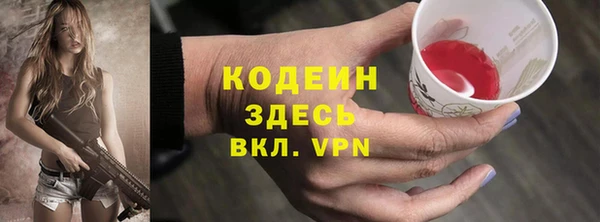 ПСИЛОЦИБИНОВЫЕ ГРИБЫ Арсеньев