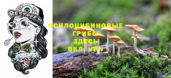 ПСИЛОЦИБИНОВЫЕ ГРИБЫ Арсеньев