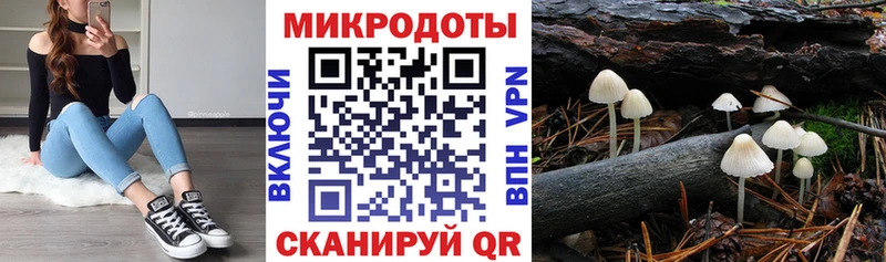 МЕГА зеркало  наркошоп  Сосновоборск  Псилоцибиновые грибы Psilocybe 